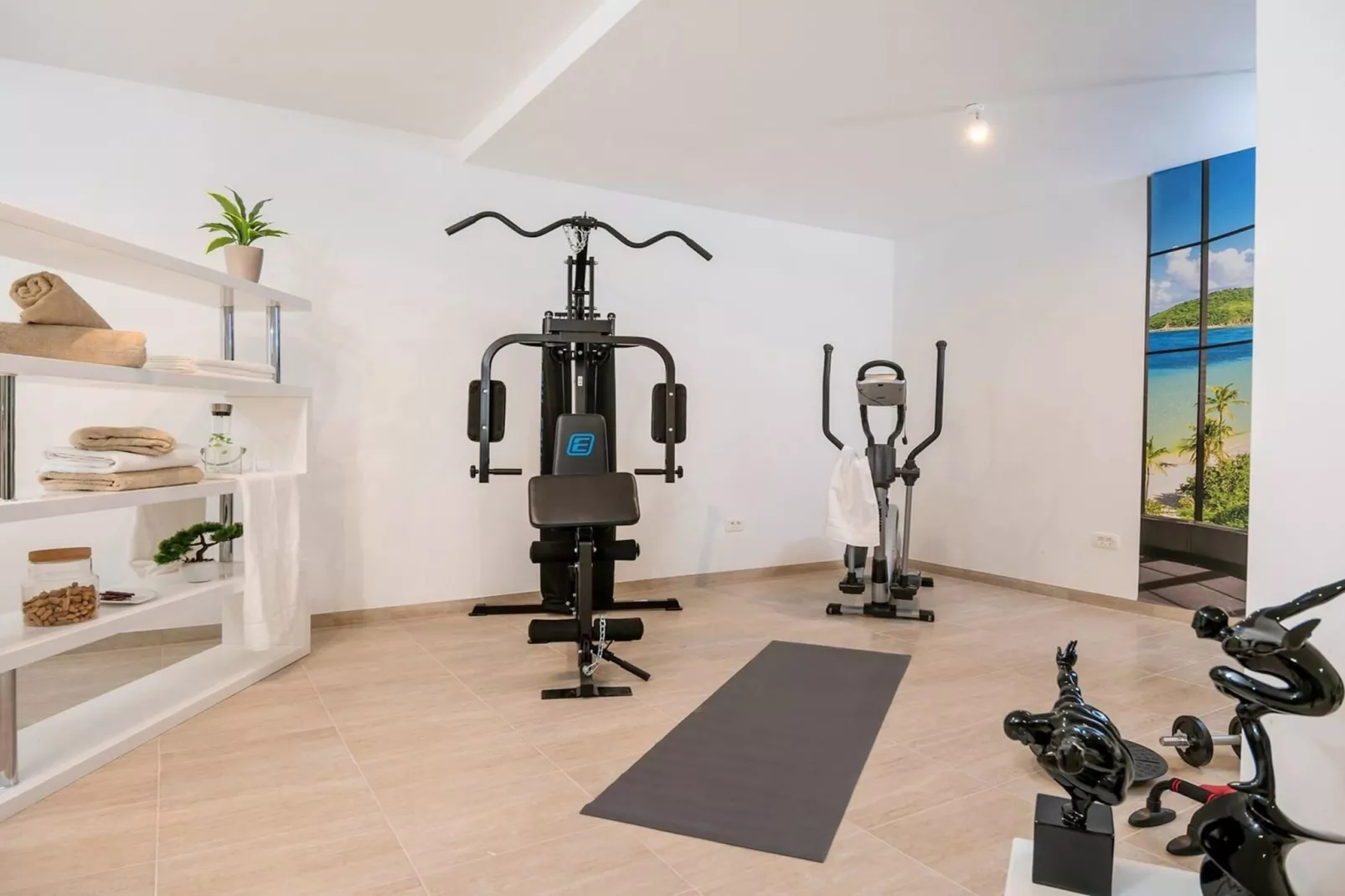 Luxury Villa Happiness Omis with Pool, Gym & Sauna - Facilities