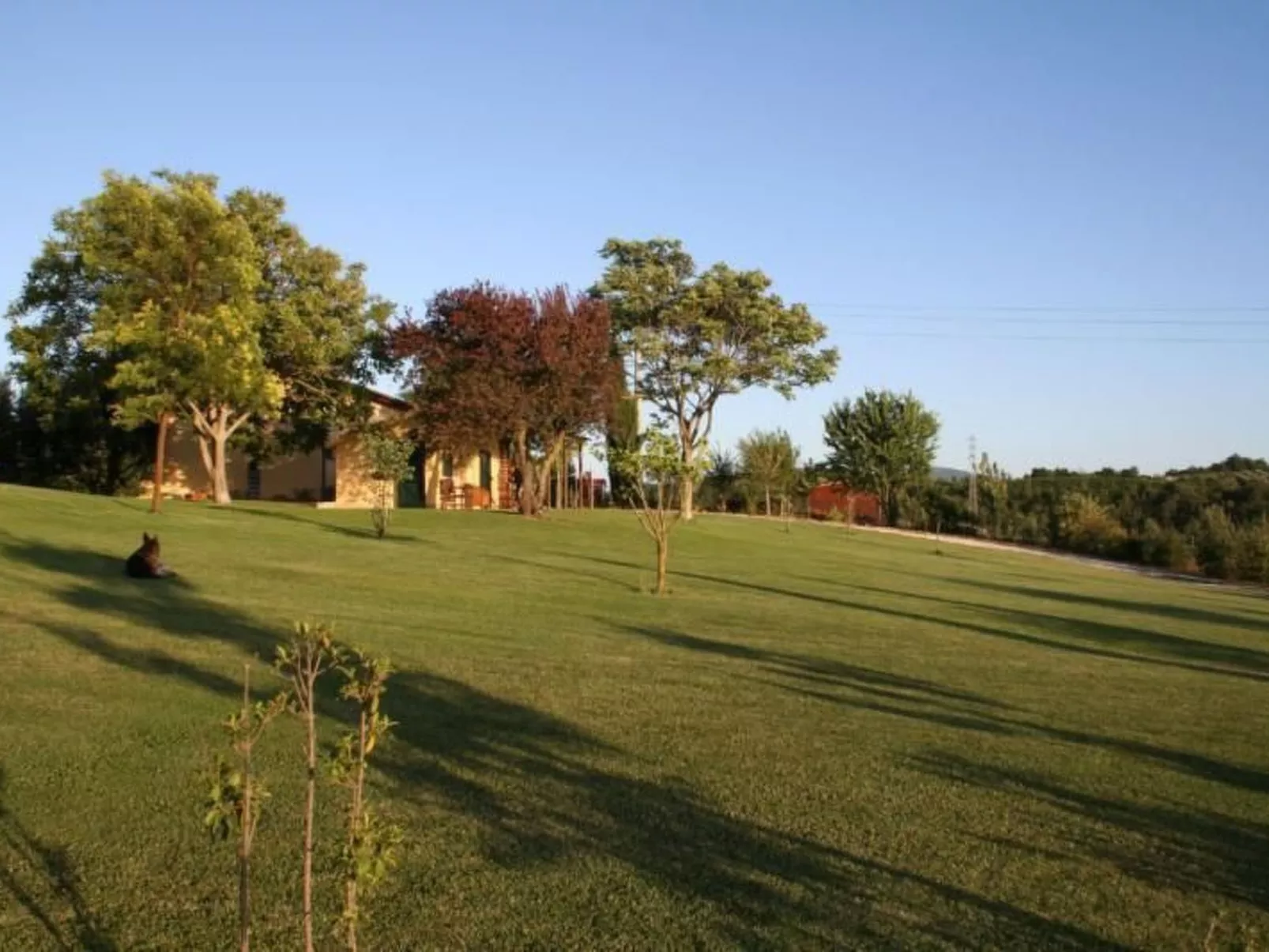 Haus mit Gartenblick - Image-tags.info