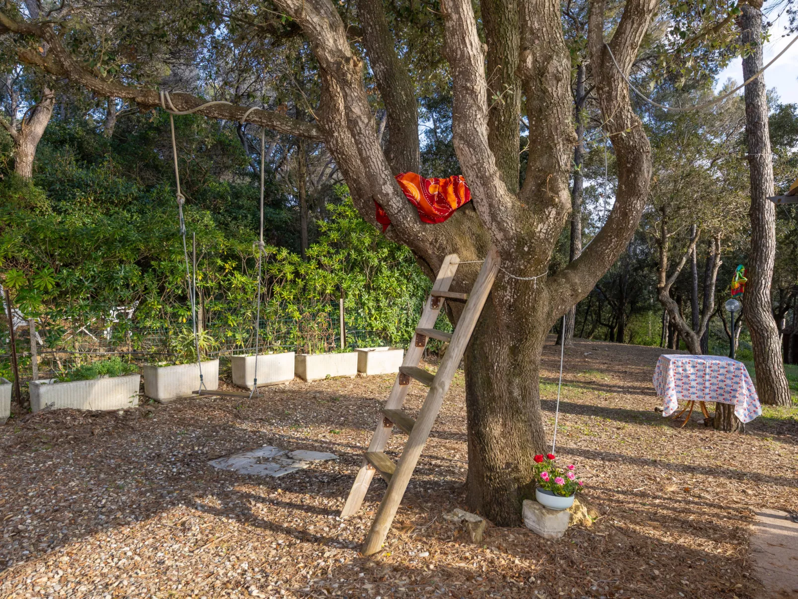 La casetta immersa nel verde - Draußen