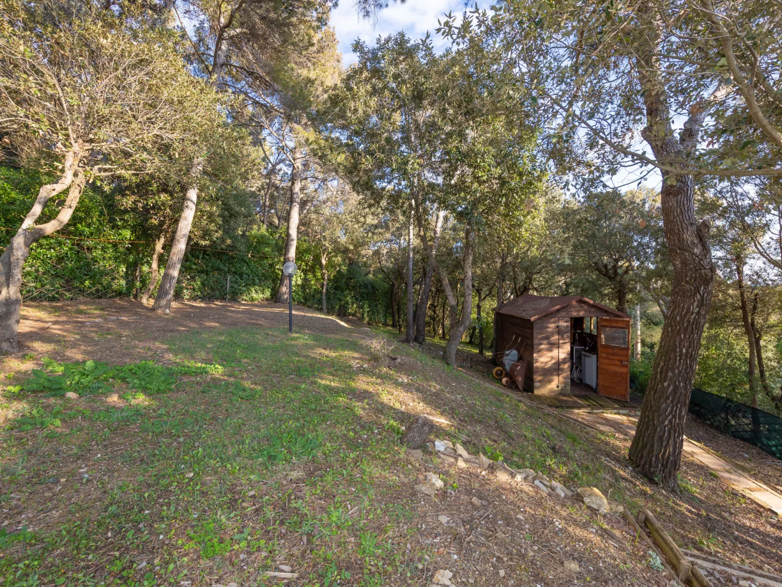 La casetta immersa nel verde - Draußen