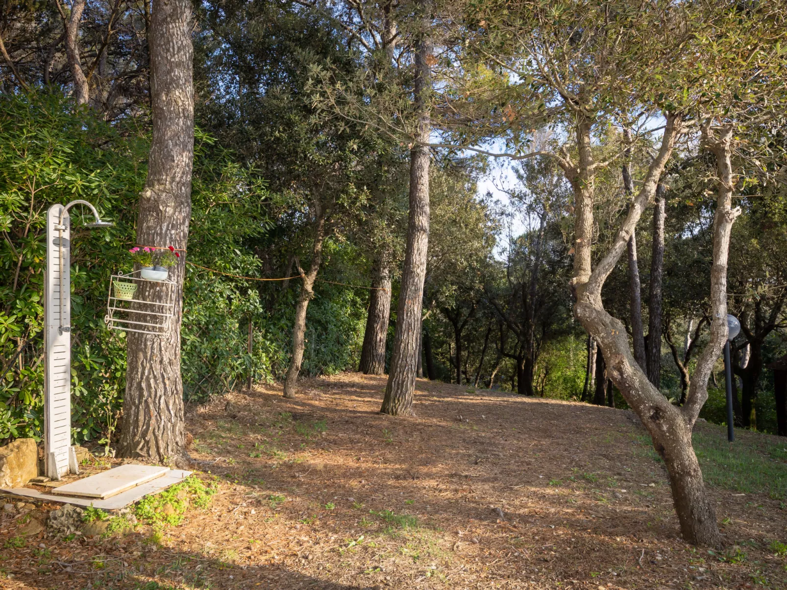 La casetta immersa nel verde - Draußen