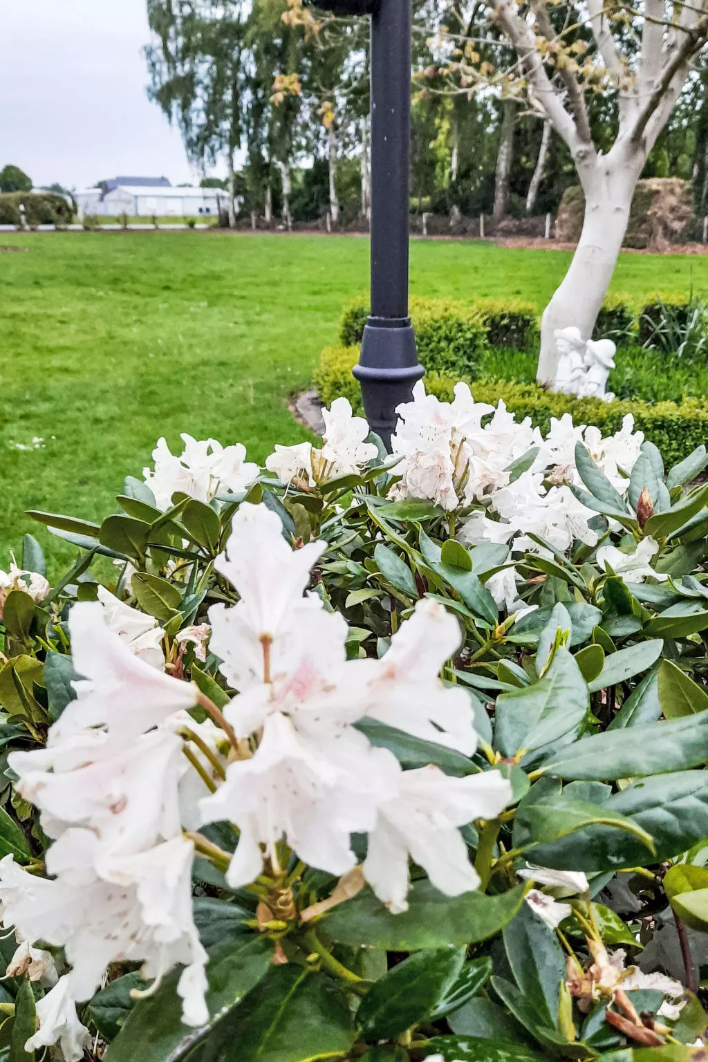 Fewo Schlingshöhe - Outside