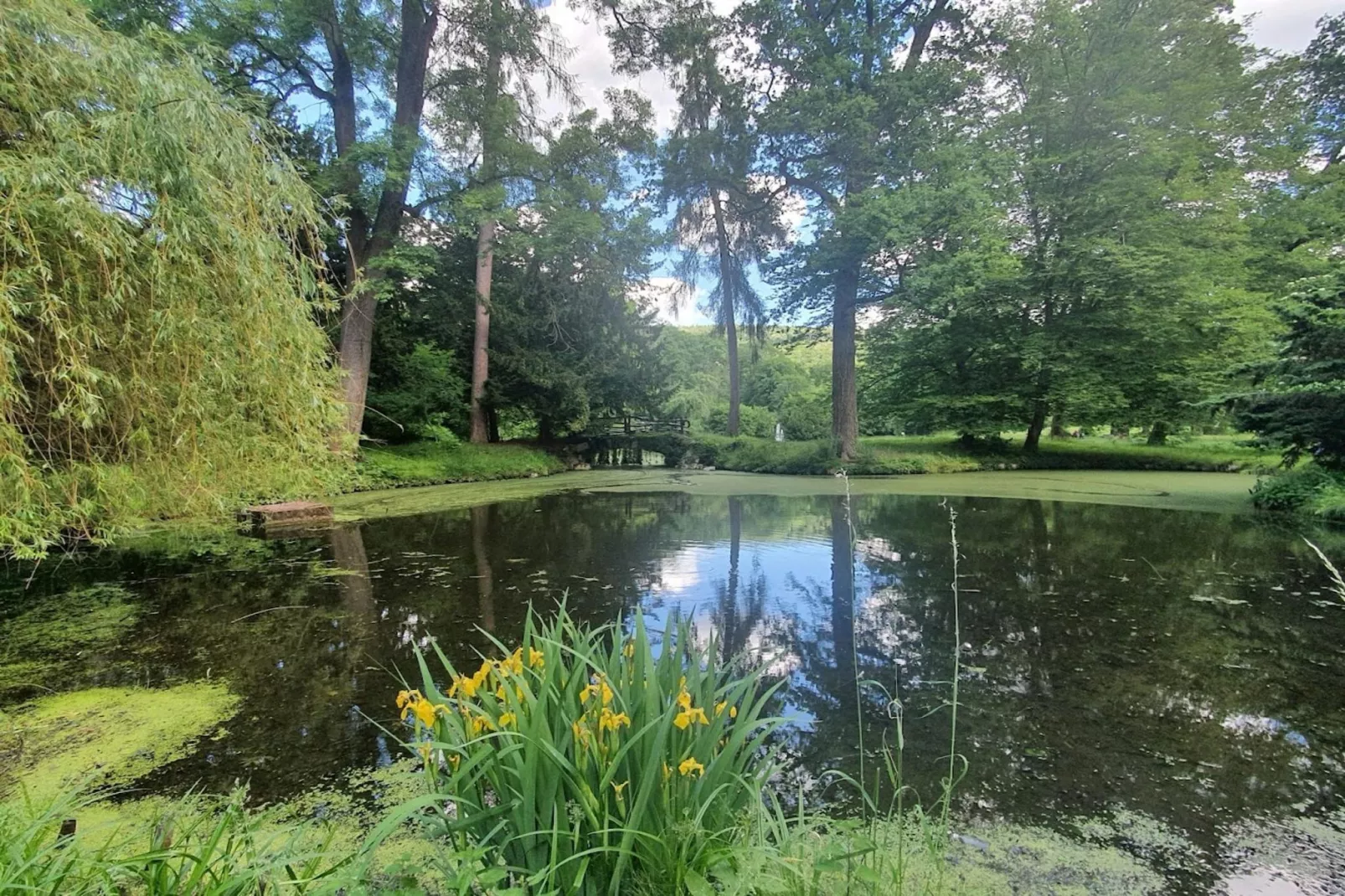 Double Room - Areas within 5km in summer