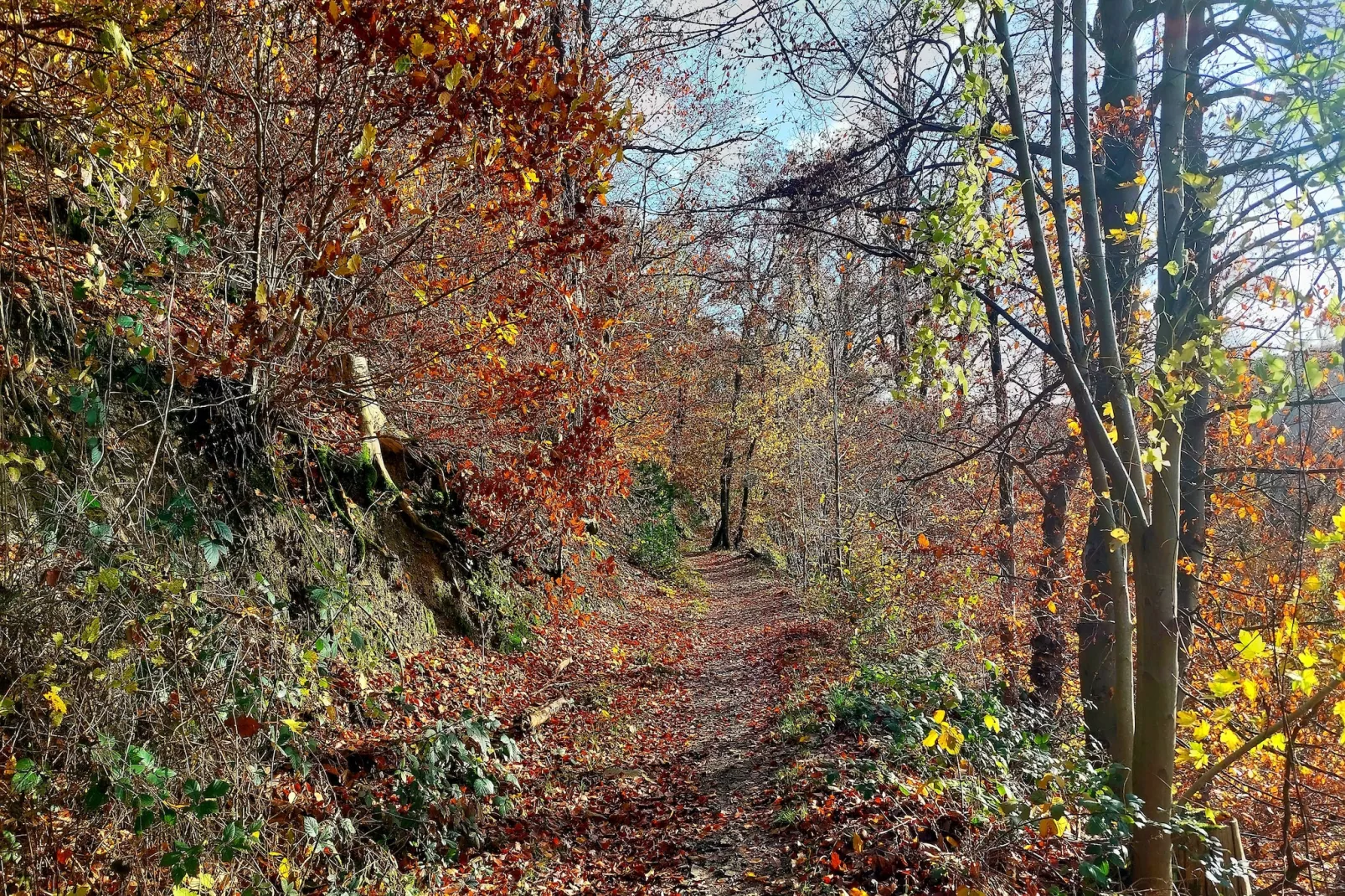 Suite with Hot Tub - Zones été à 5 km