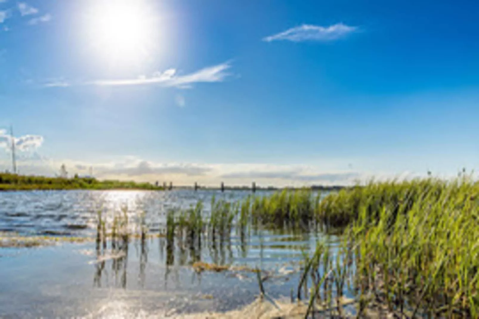 Ferienhaus Lotsenhaus Vieregge - Gebiete Sommer 5 km