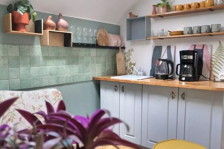 Dom wakacyjny dla 6 osób Różewko-Kitchen