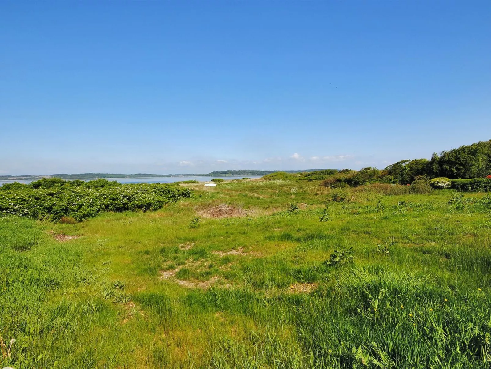 "Eloise" - 50m to the fjord - Outside