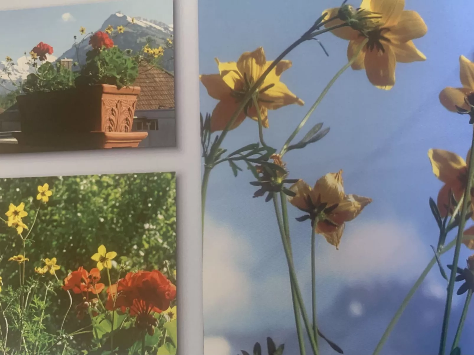 Gartenstudio "Belle Vue" - Dedans