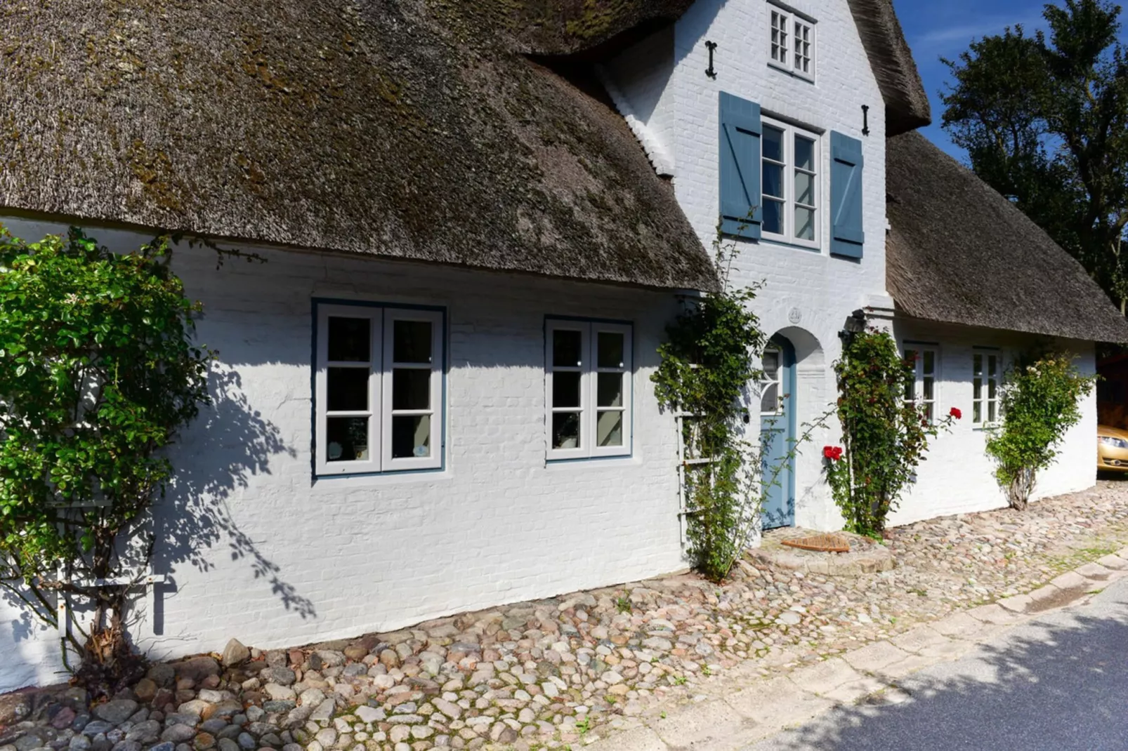 Doppelhaus in Oldsum auf Föhr-Haus 1 - Außenbereich Sommer