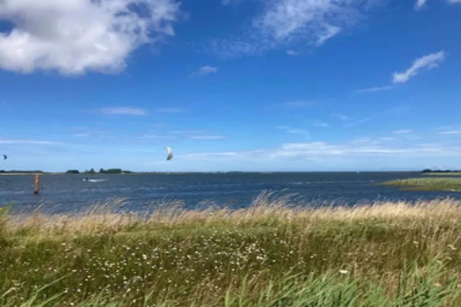 Ferienhaus Lotsenhaus Vieregge - Gebiete Sommer 5 km