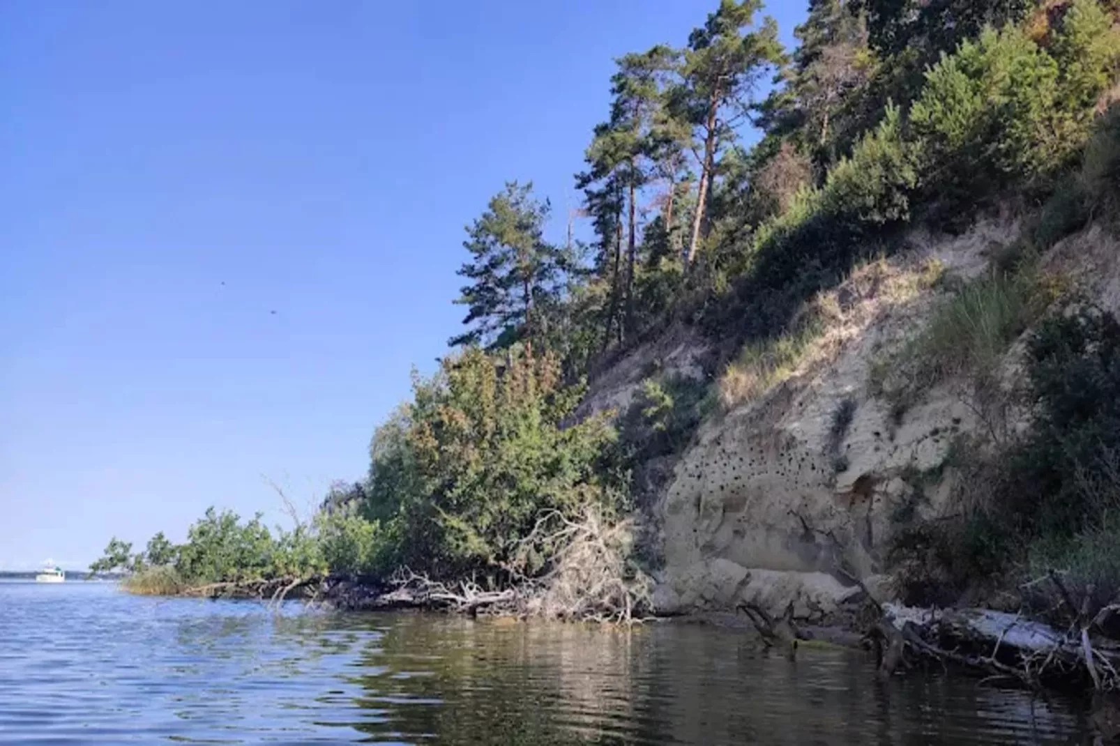 Appartement 5 - Zones été à 1 km