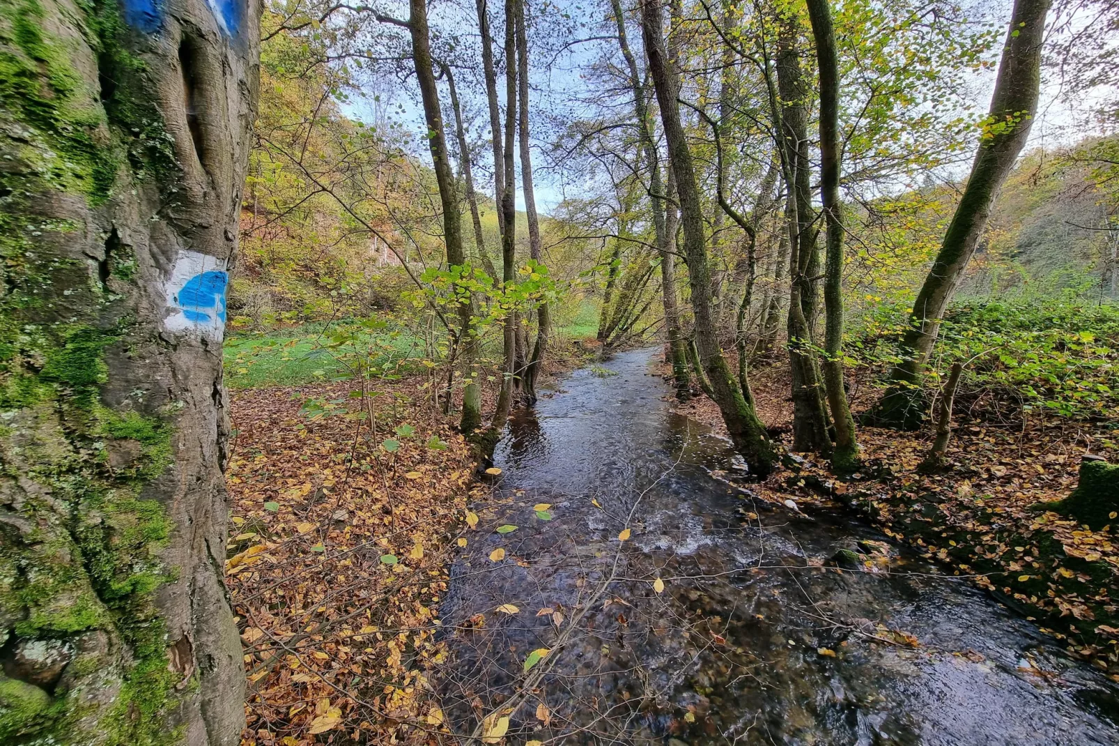 Suite with Hot Tub - Zones été à 5 km