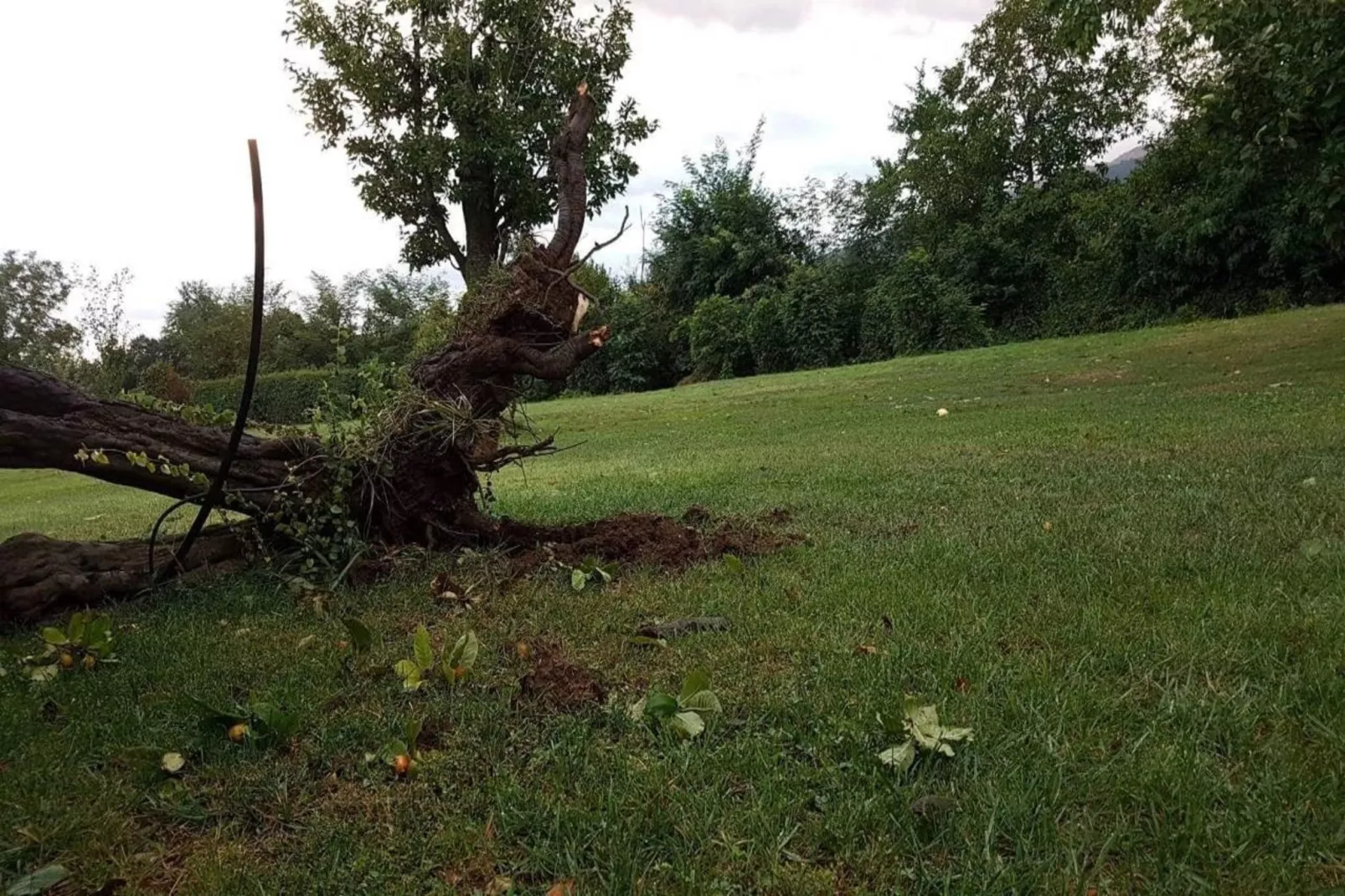 Double Room - Gebiete Sommer 5 km