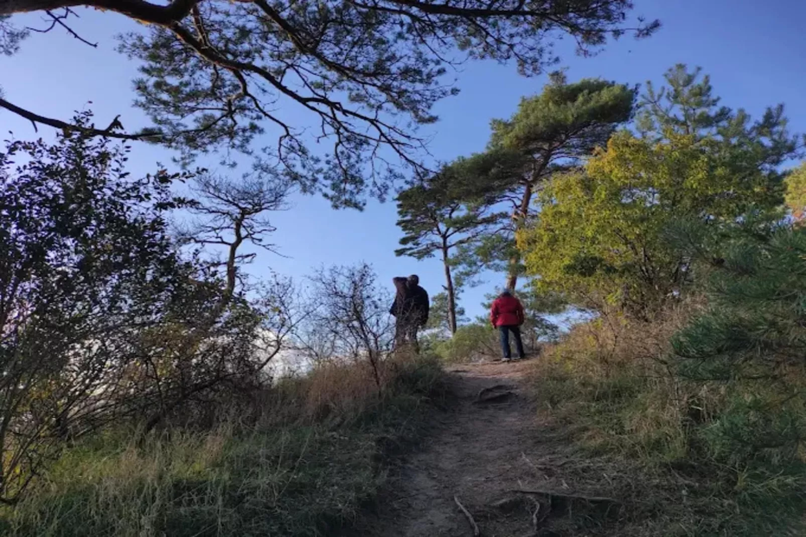 Appartement 5 - Zones été à 1 km