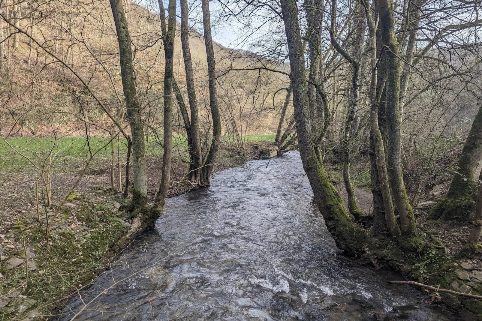 Single Room - Gebiete Sommer 5 km