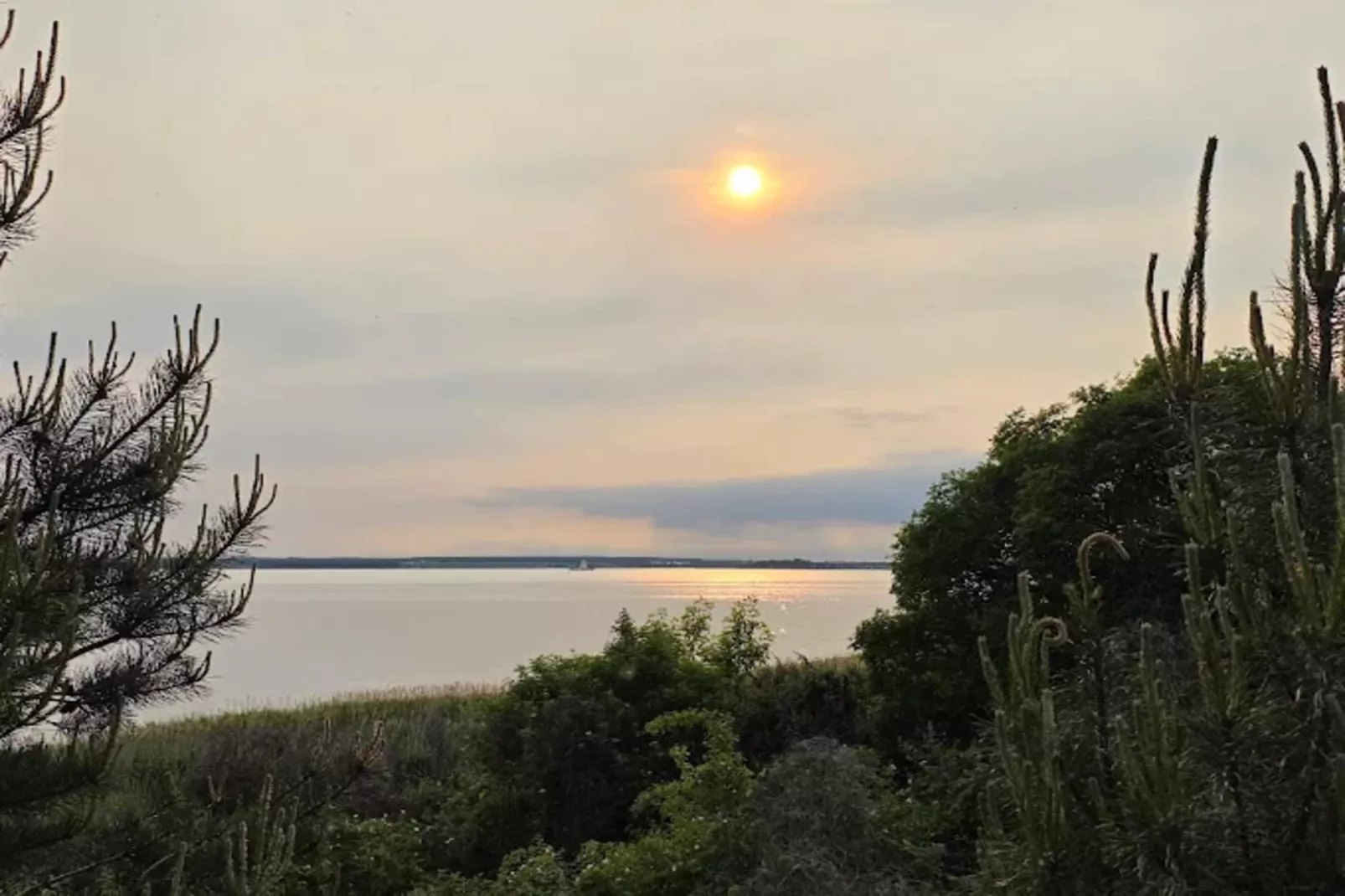 Appartement 5 - Zones été à 1 km