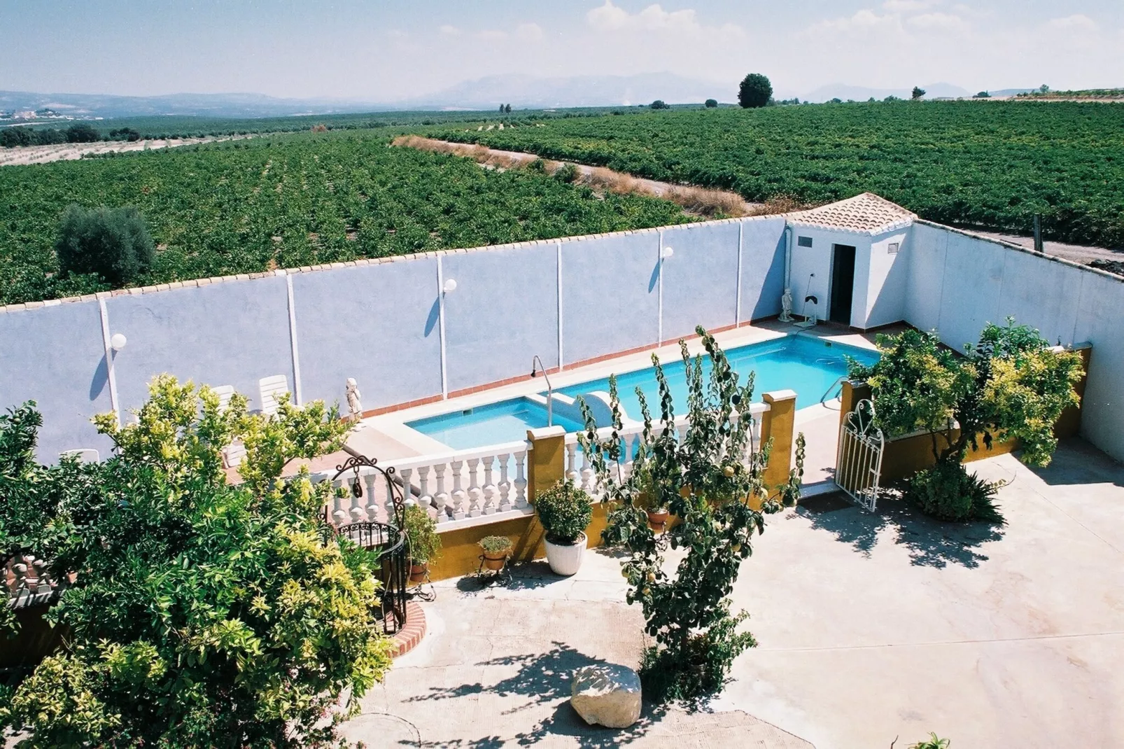 El Patriarcal - Piscine