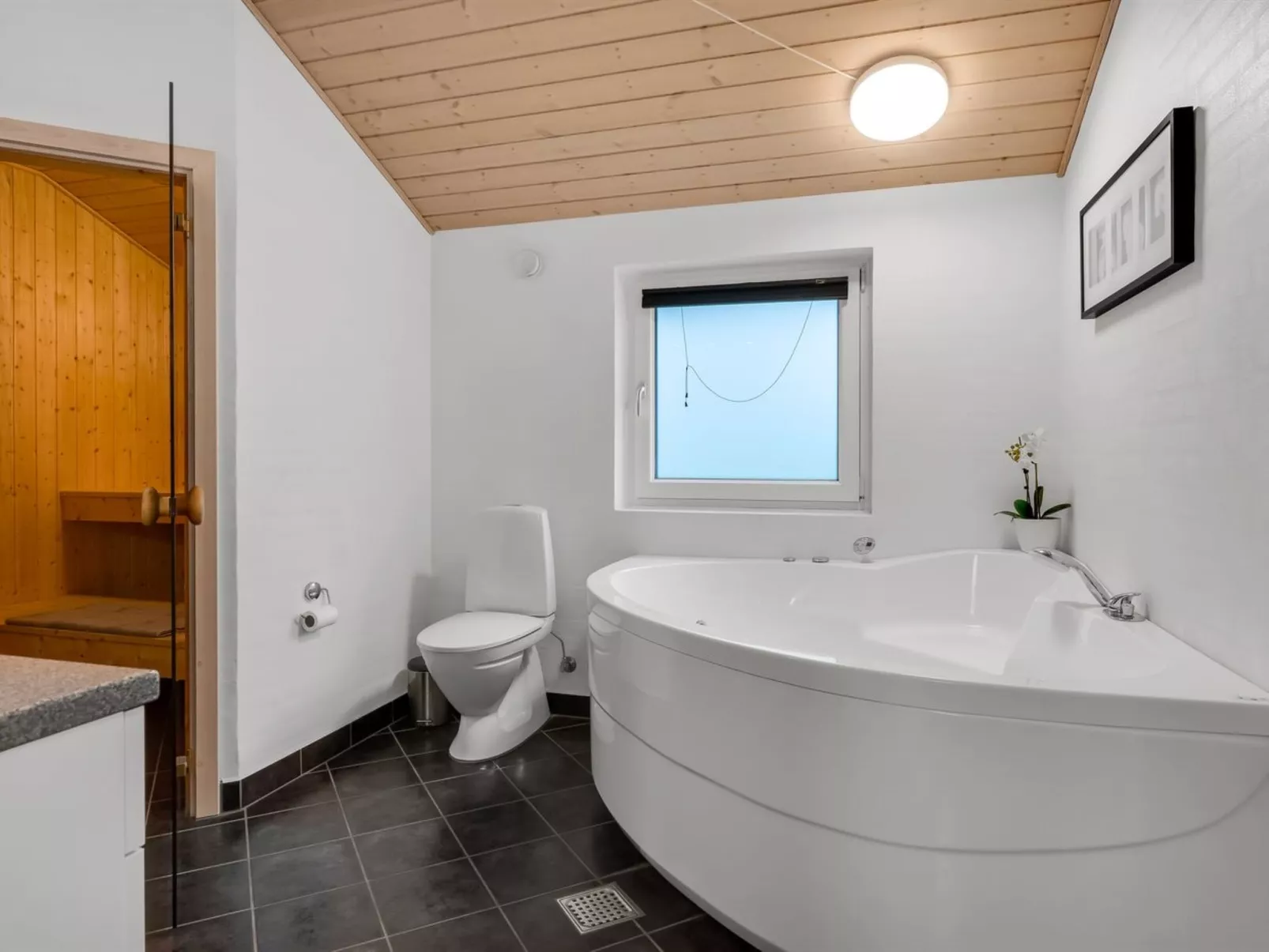 "Erikka" - 40km from the sea - Inside