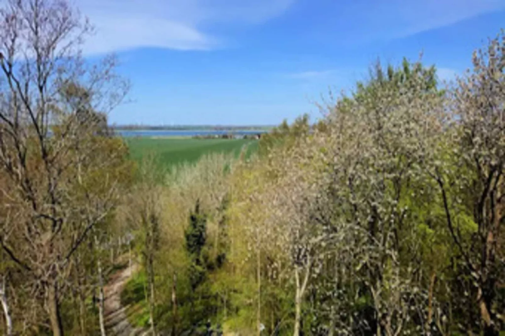 Ferienhaus Lotsenhaus Vieregge - Gebiete Sommer 5 km