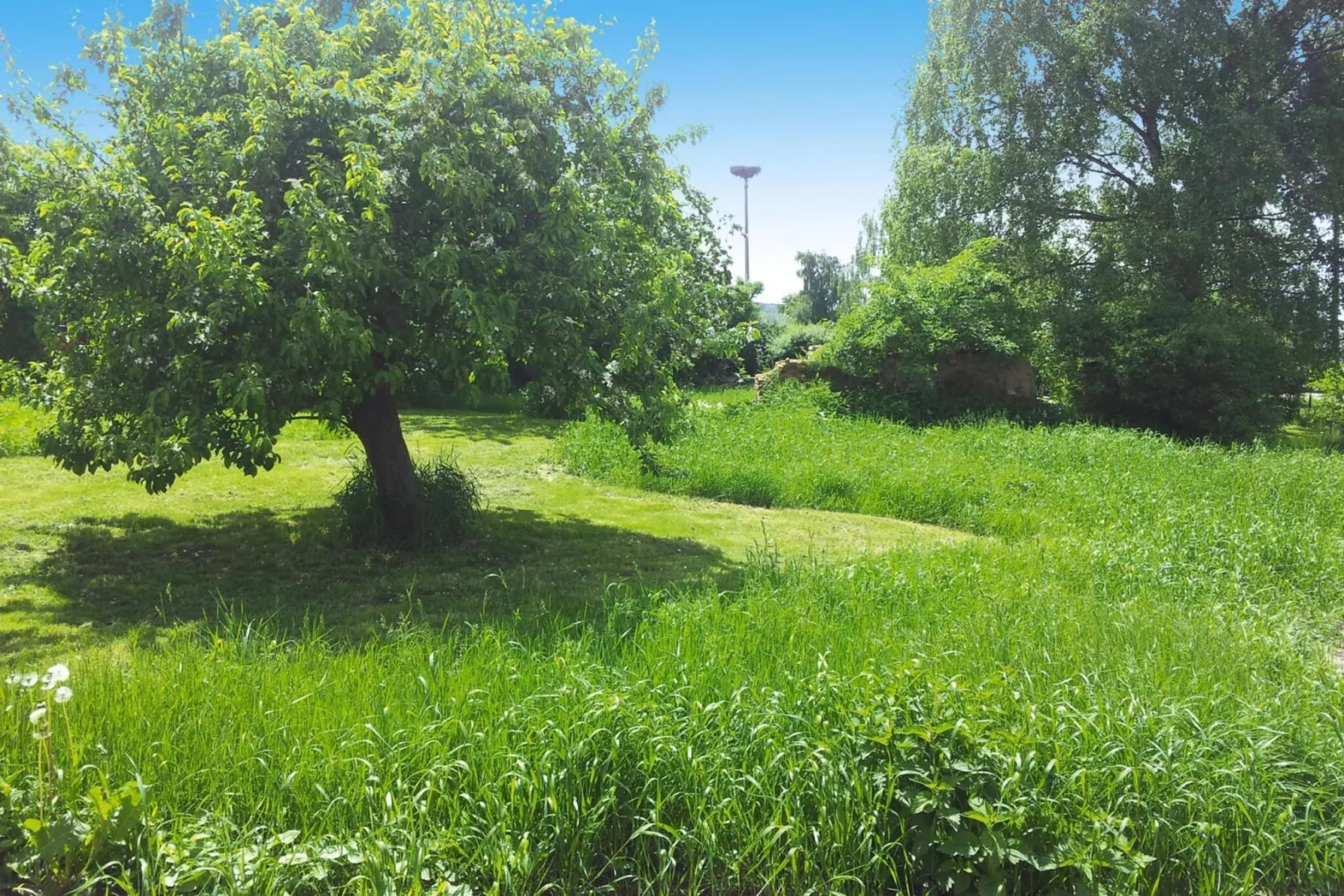 Ferienhaus 195 qm - Garten Sommer