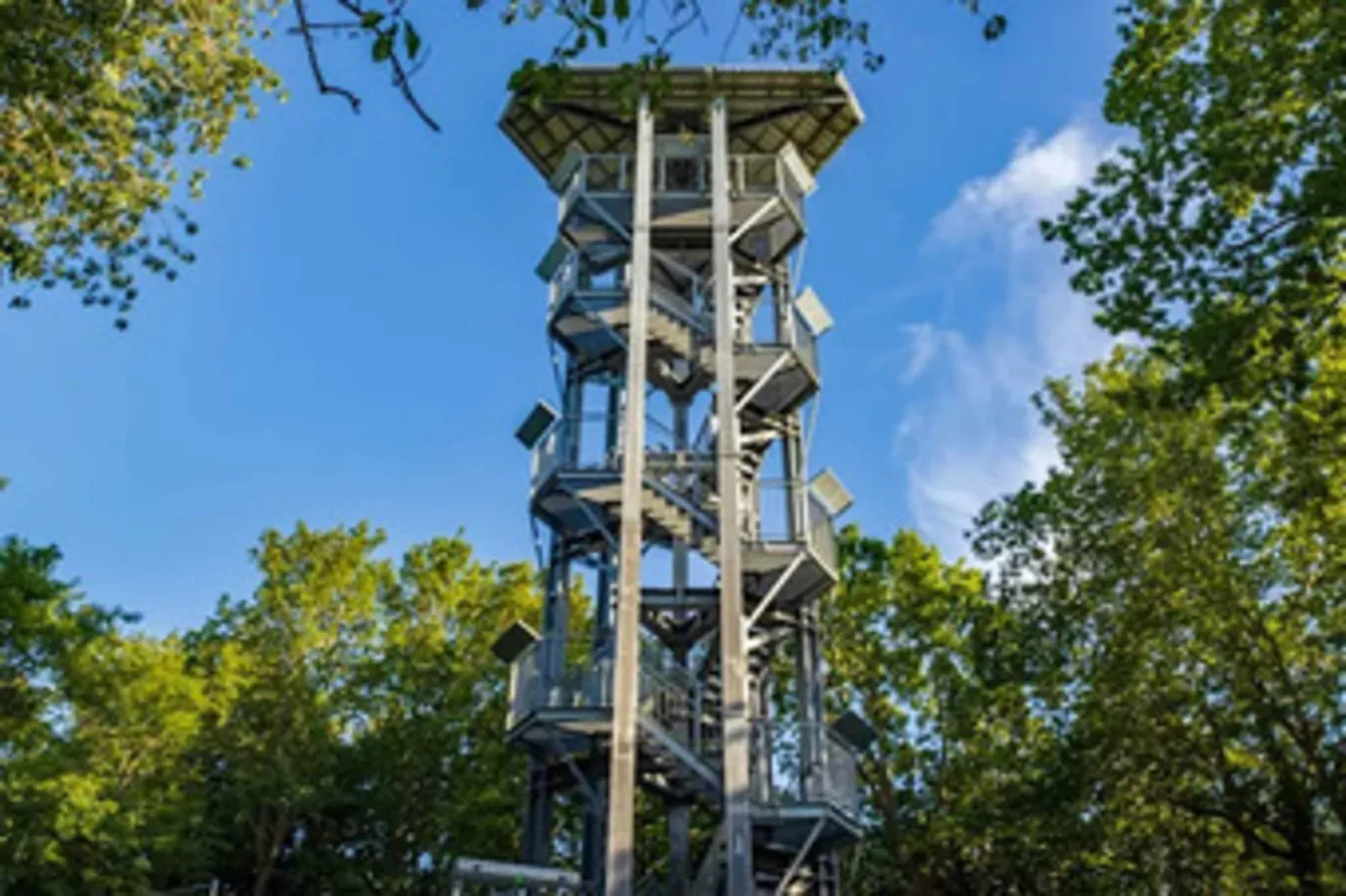 Ferienhaus Lotsenhaus Vieregge - Gebiete Sommer 5 km