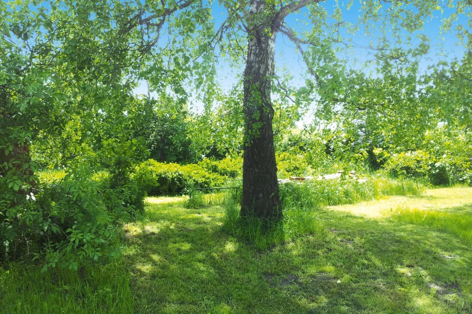 Ferienhaus 195 qm - Garten Sommer