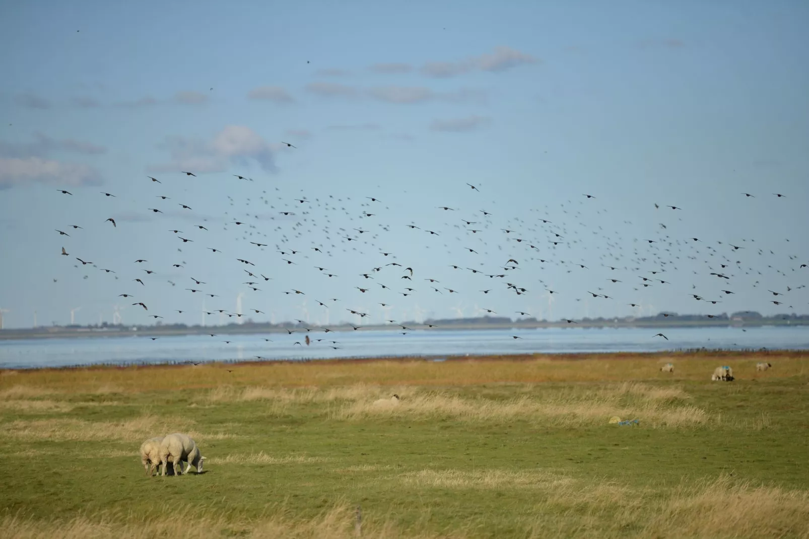 Kleiner Steert 11 b - Zones été à 5 km