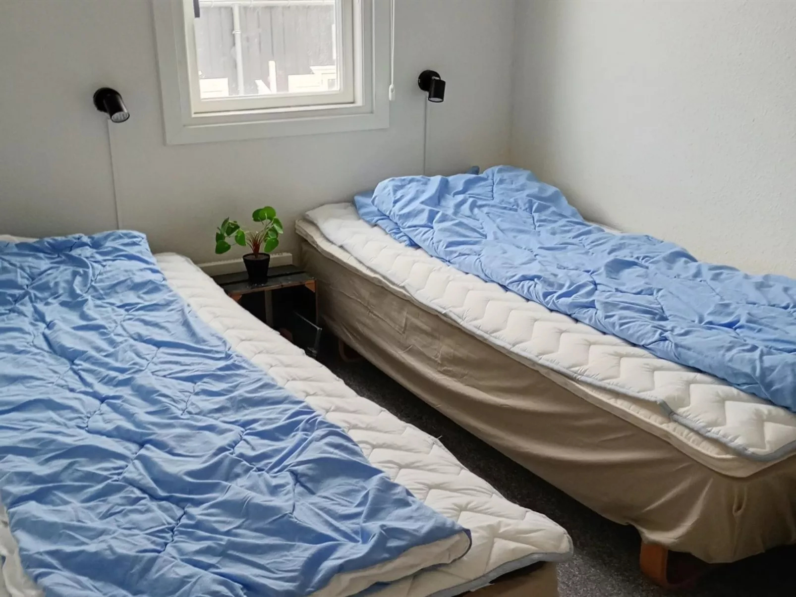 "Ingeborre" - 100m to the fjord - Dedans