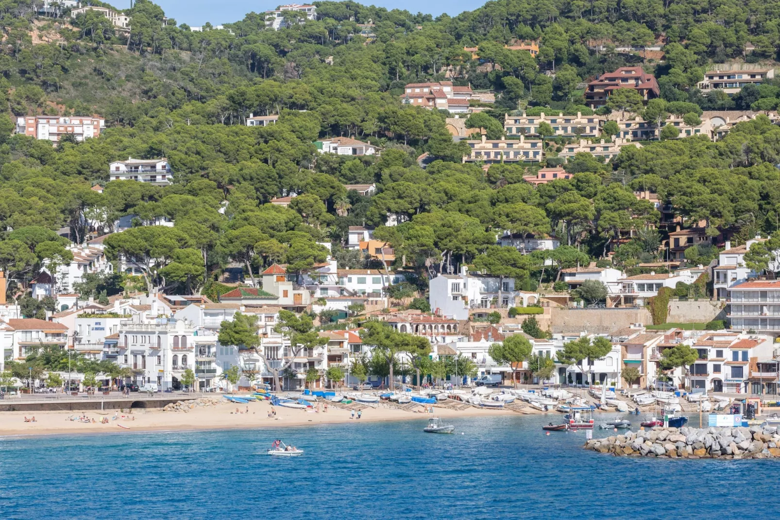 Lucky - Areas within 5km in summer