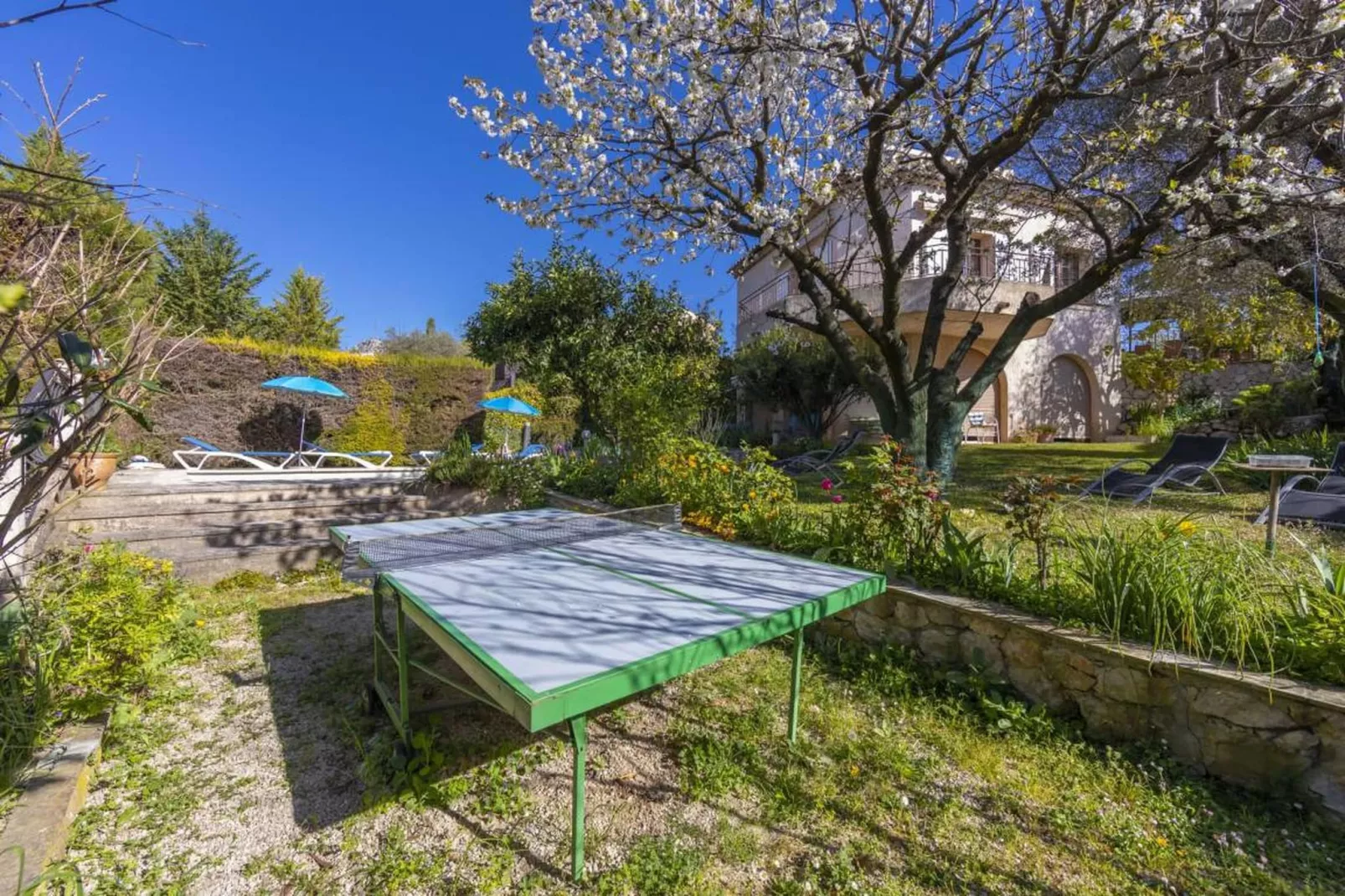 Oasis d'amon - Facilities