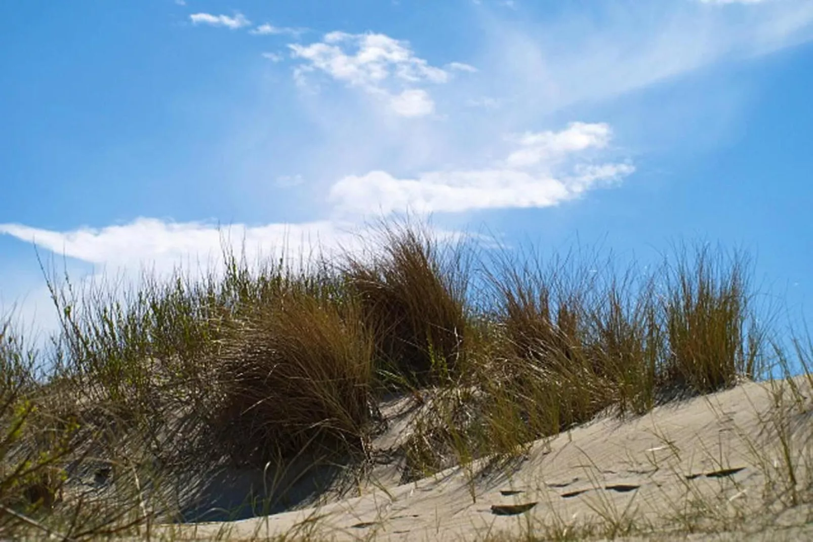 Doppelhaus in Oldsum auf Föhr-Haus 1 - Gebiete Sommer 1 km