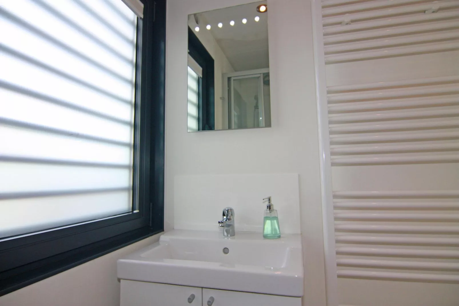 Houseboat Floating Houses Blue Active, Ribnitz-Damgarten-Blue Active - Bathroom