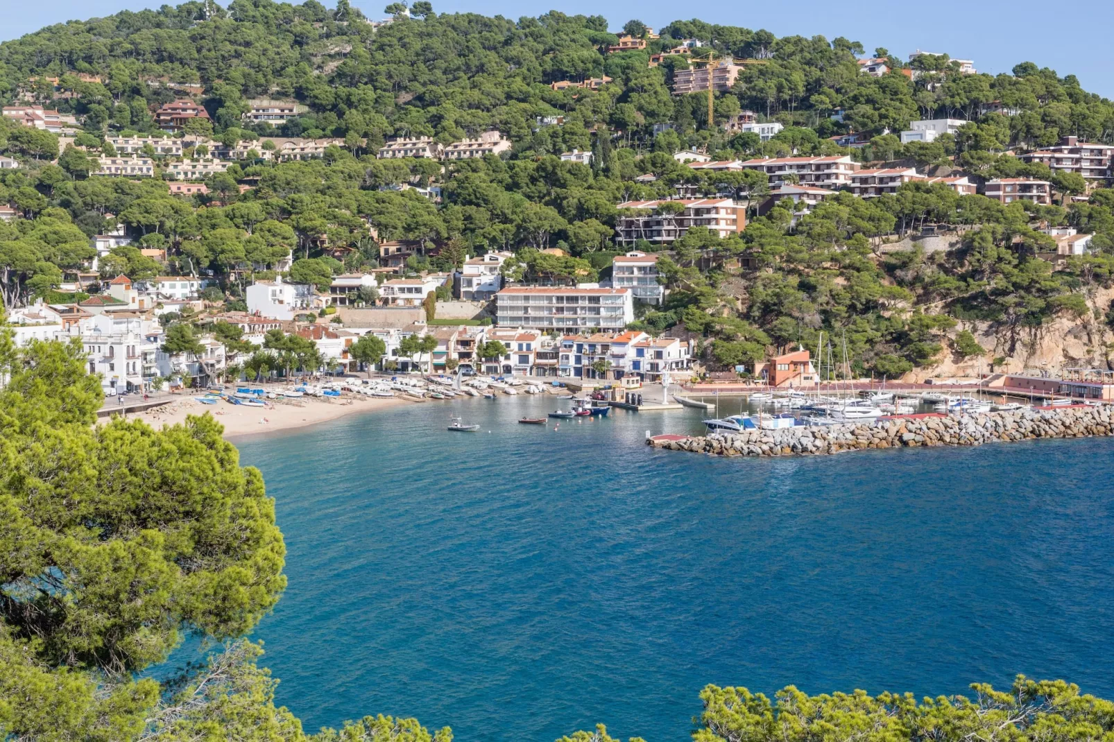 Lucky - Image-tags.water view