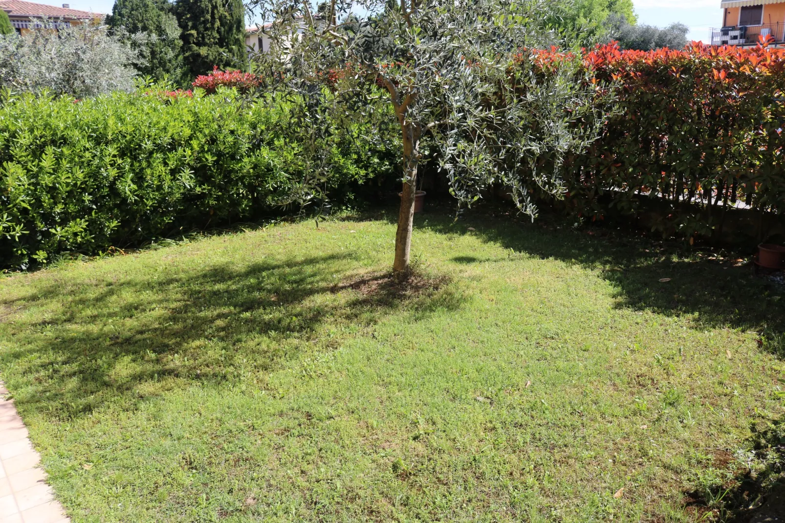 Romeo e Giulietta 7 - Garten Sommer