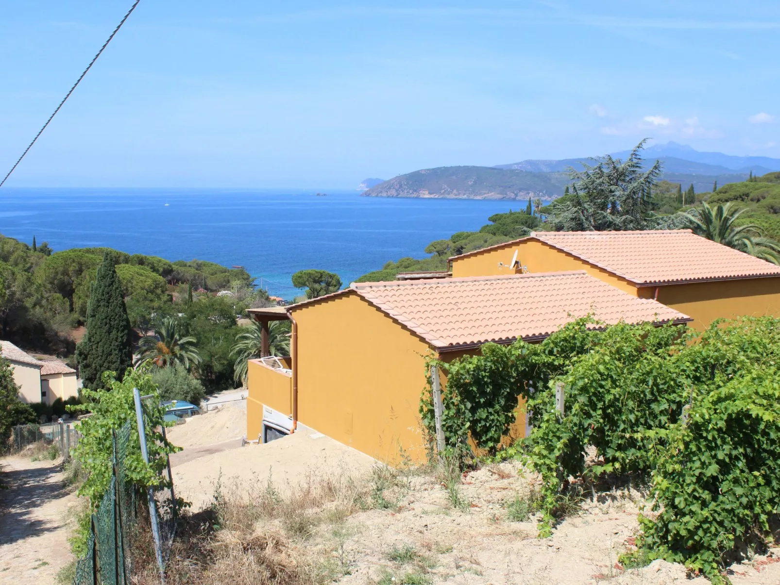 Neugebaute Wohnung mit Terrasse - Image-tags.info