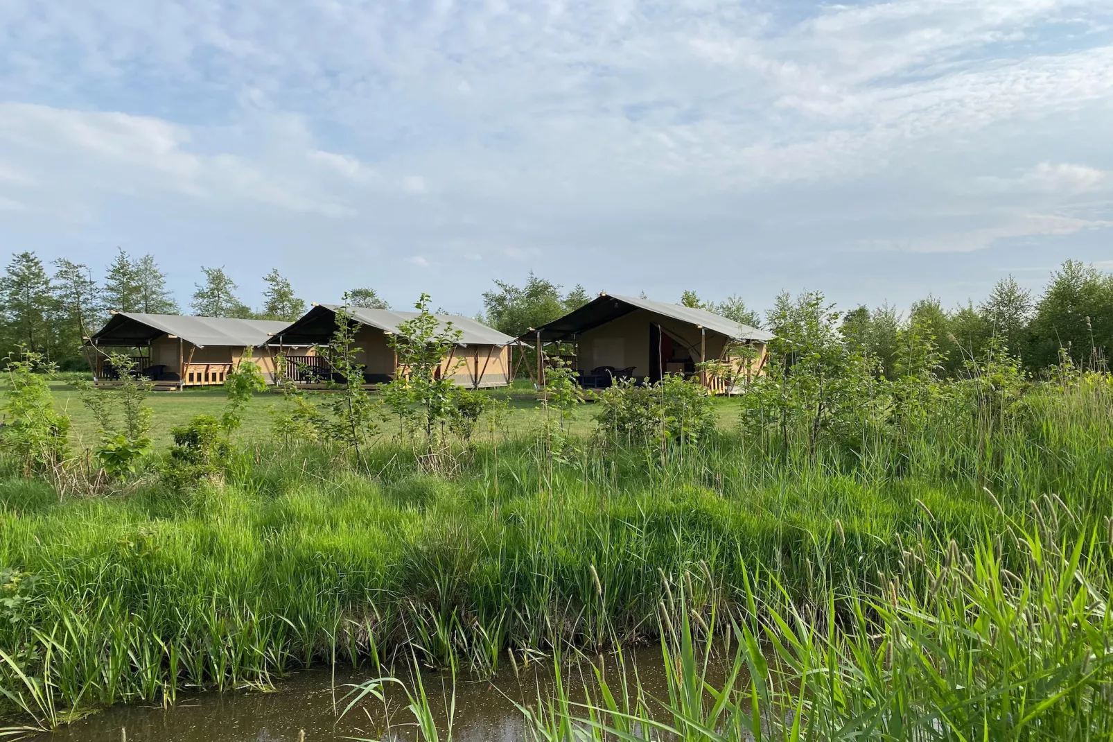 Luxe glamping met badkamer 3 - Außenbereich Sommer