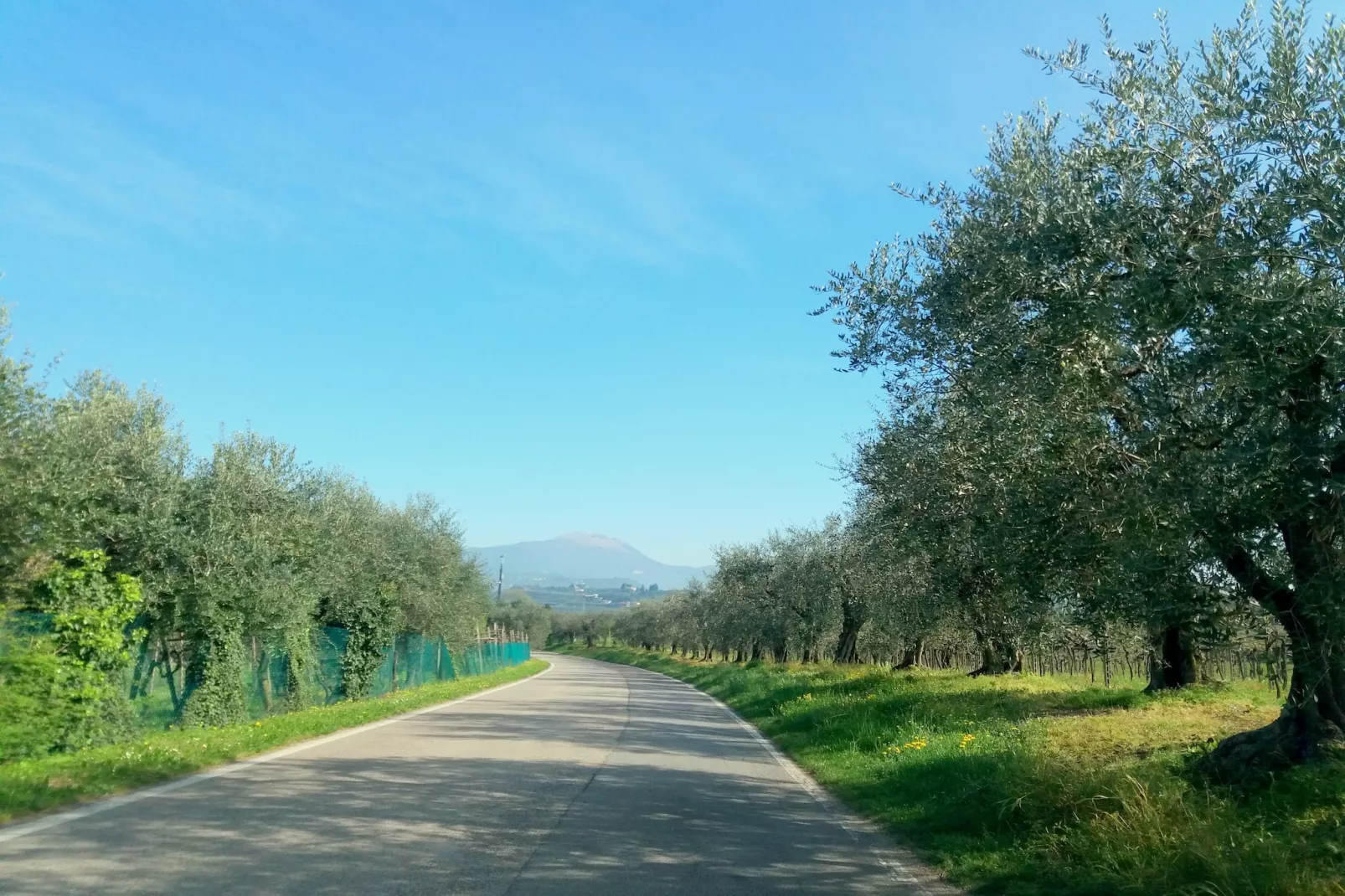 Le Tende C17 - Areas within 1km in summer