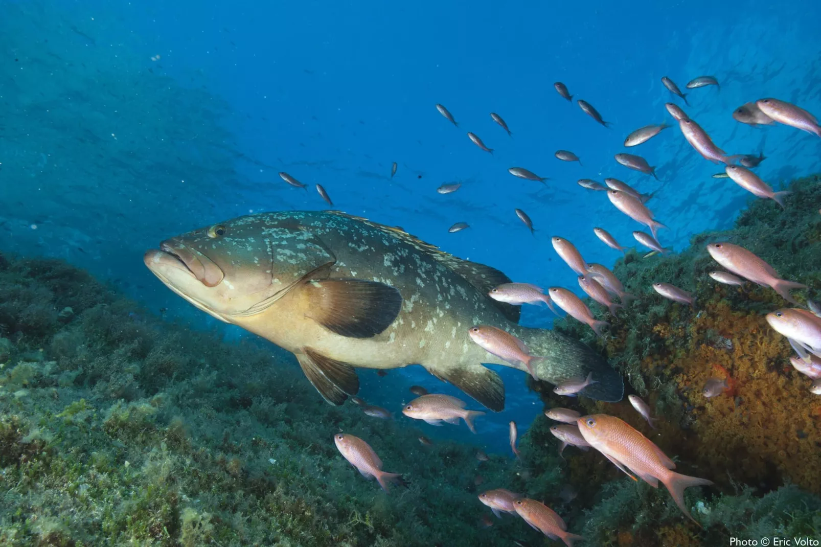 Villa le Lagon pour 4/5 personnes - Areas within 20km in summer