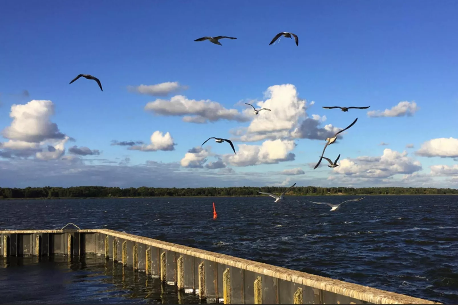 Houseboat Floating Houses Blue Active, Ribnitz-Damgarten-Blue Active - Water view