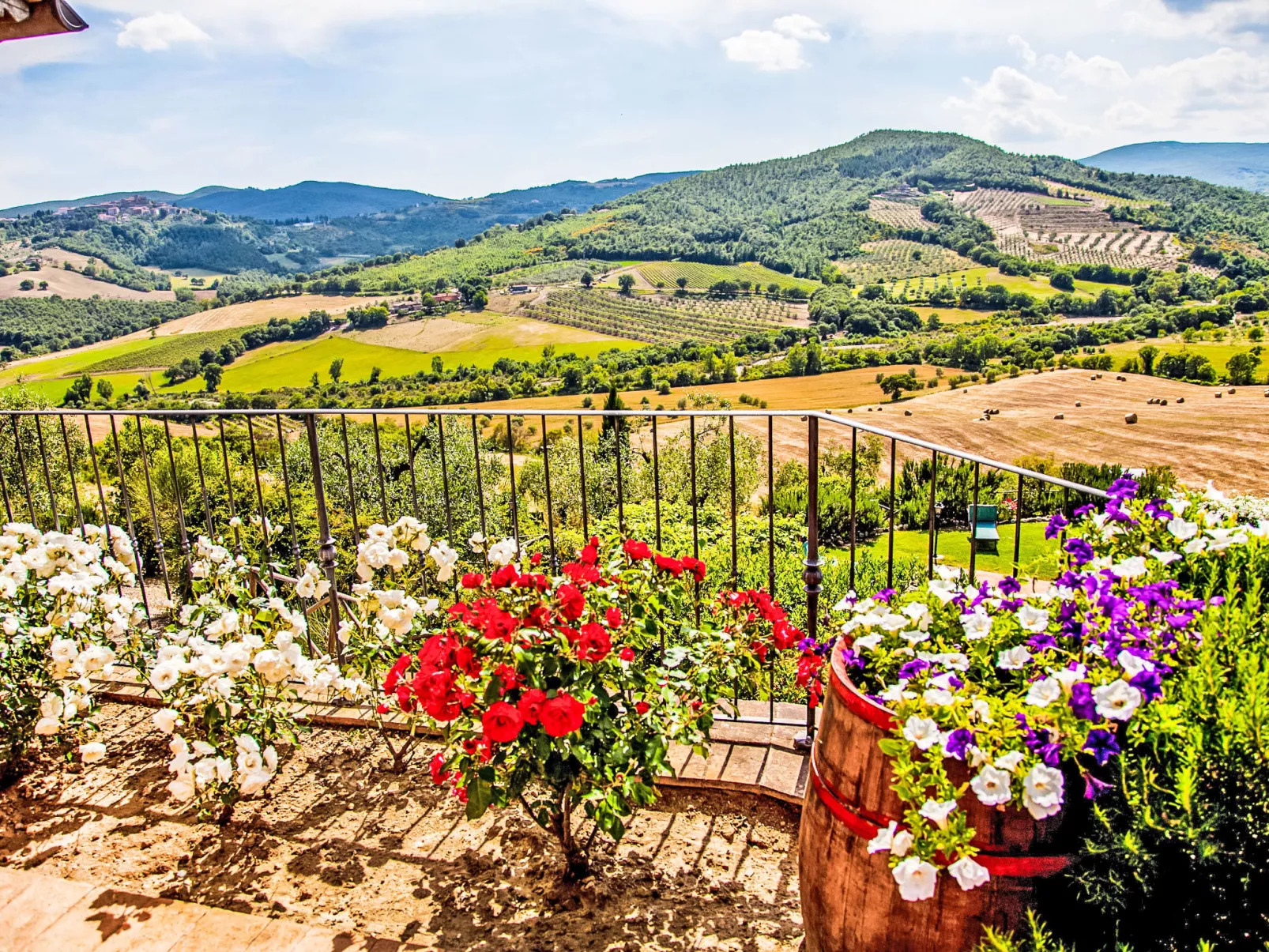 Agriturismo Belvedere delle Crete - Dehors
