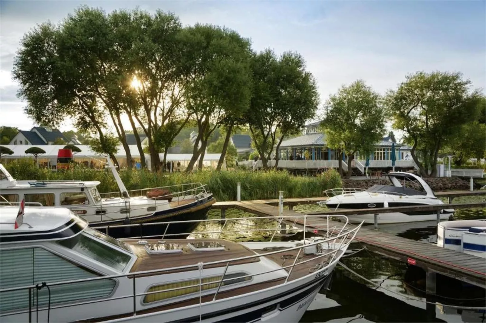 Executive Room with balcony - Ambiance