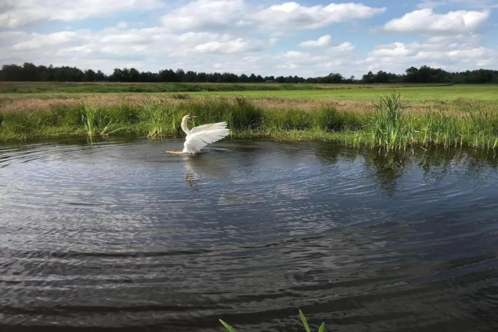 Luxe glamping met badkamer 2 - Gebiete Sommer 20 km