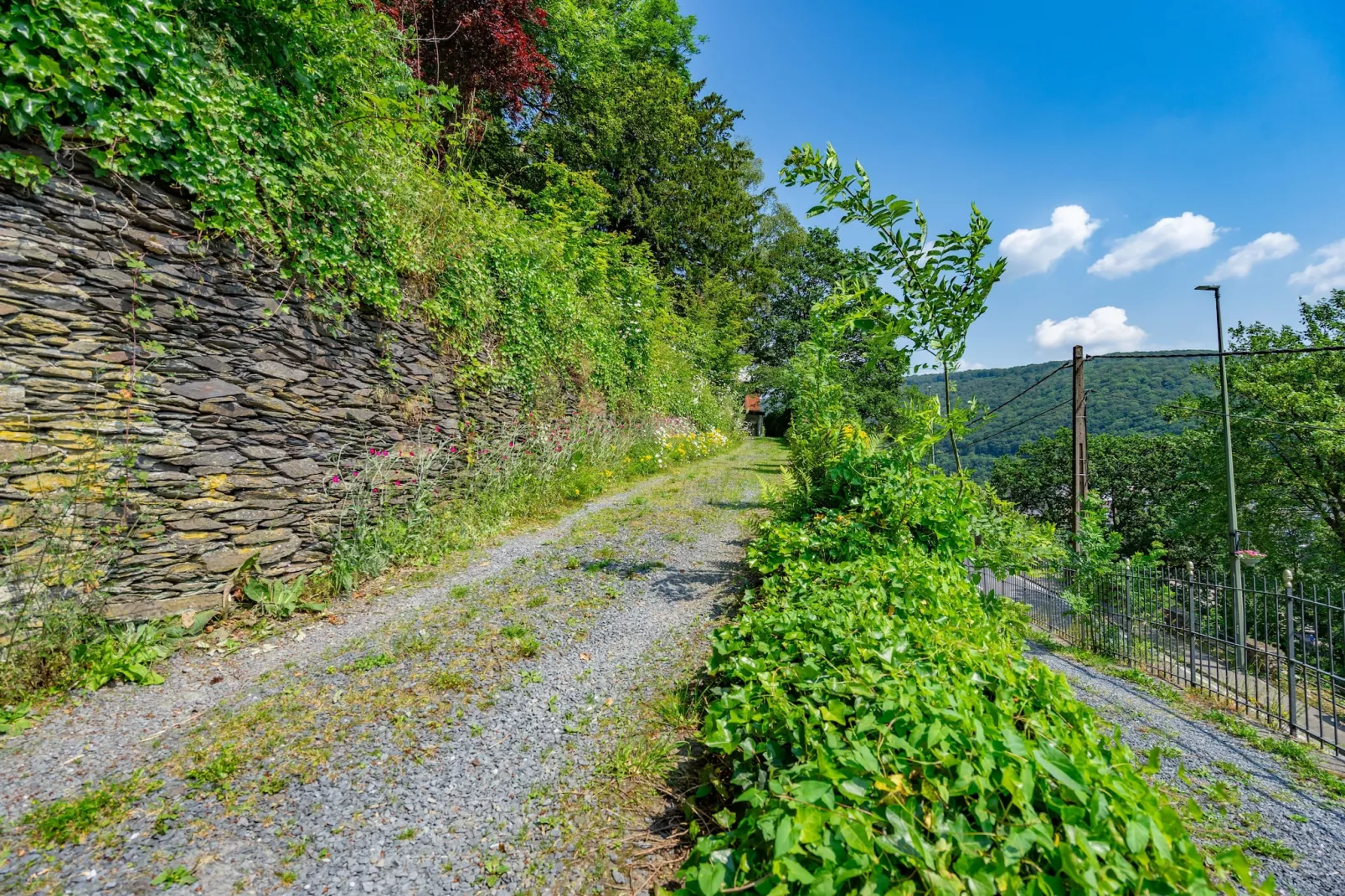 Chateau Constance volledig - Gardens in summer