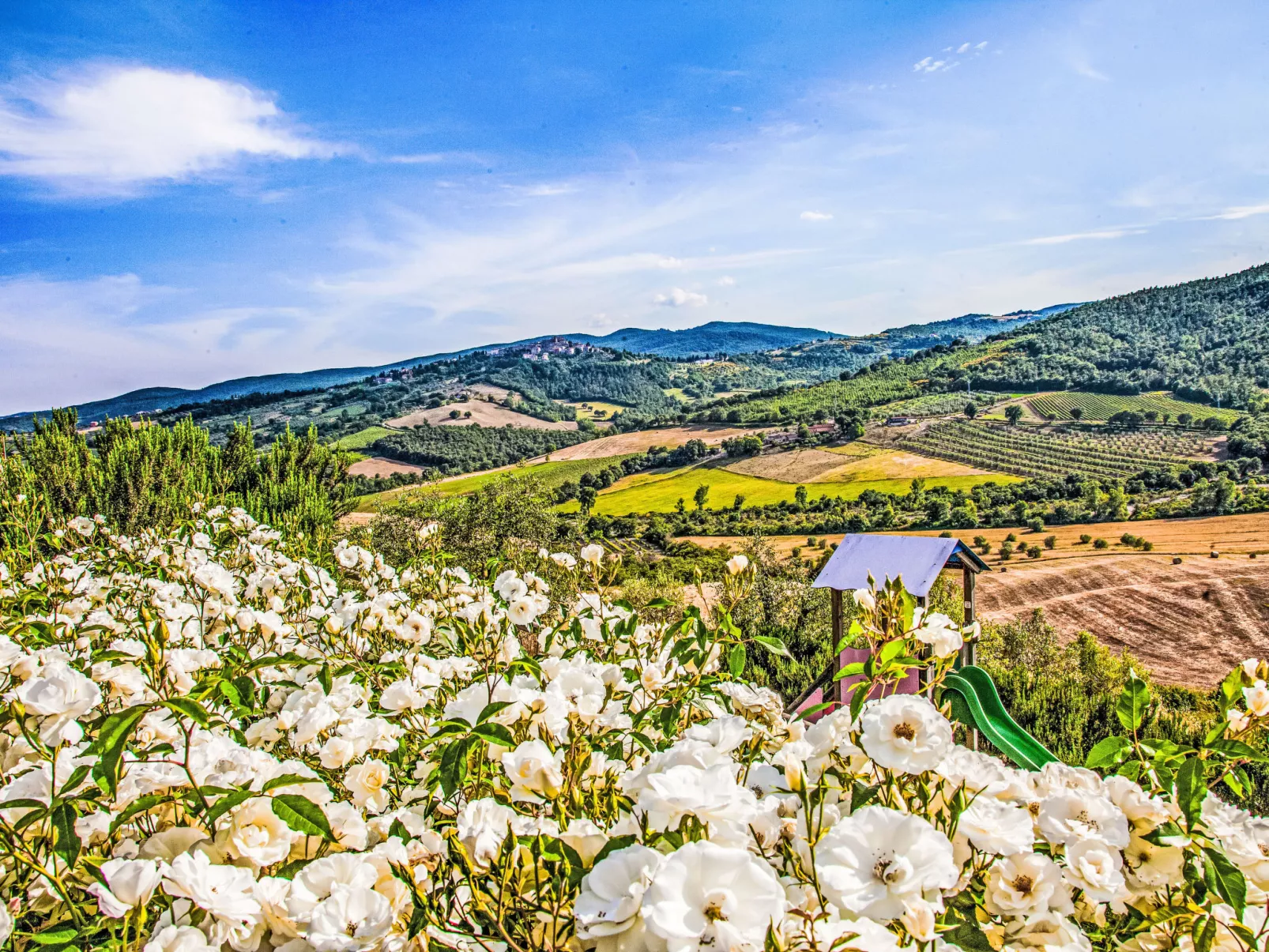Agriturismo Belvedere delle Crete - Dehors