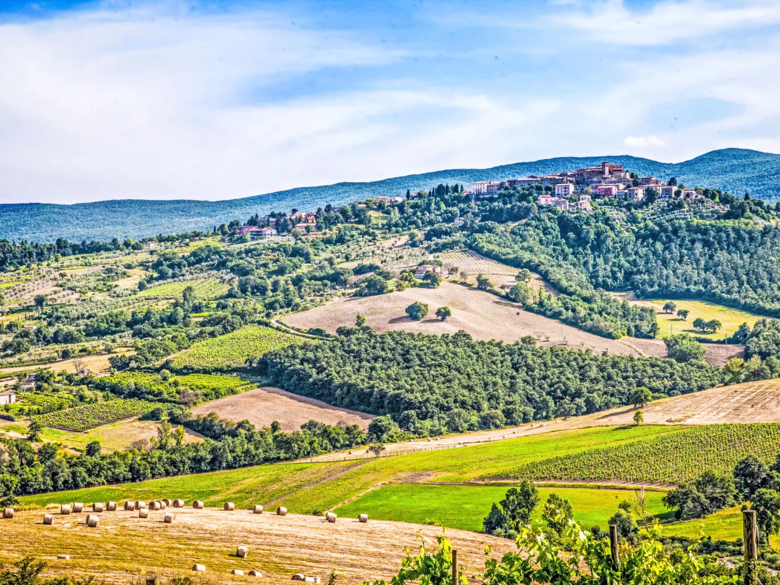 Agriturismo Belvedere delle Crete - Dehors
