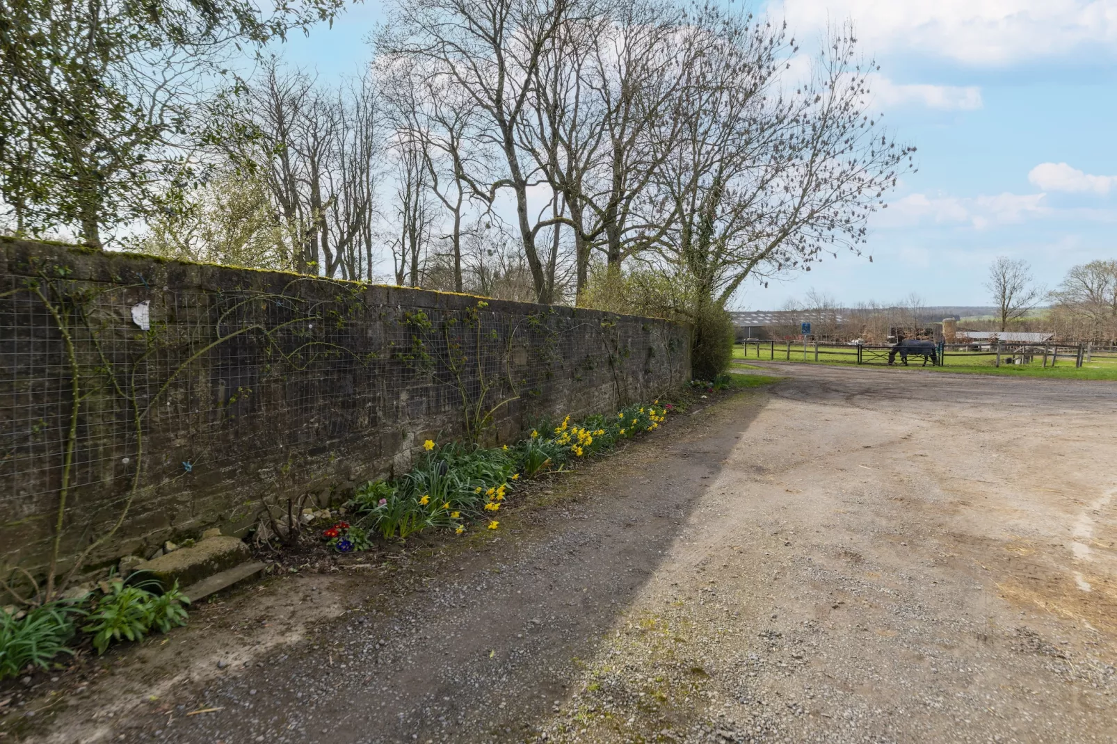 La Cour de Himbe - Exterior in summer
