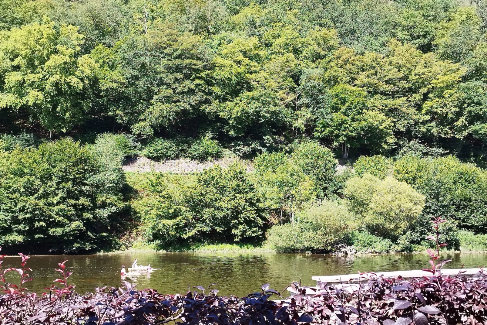 Au Coeur d'Alle Single Room - Areas within 5km in summer