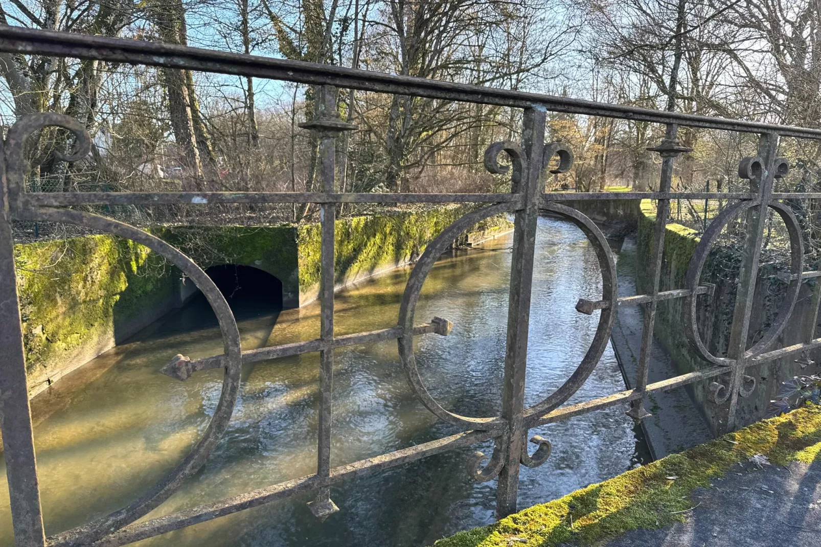 Appartement avec la petite cour - Gebiet Winter 1 km