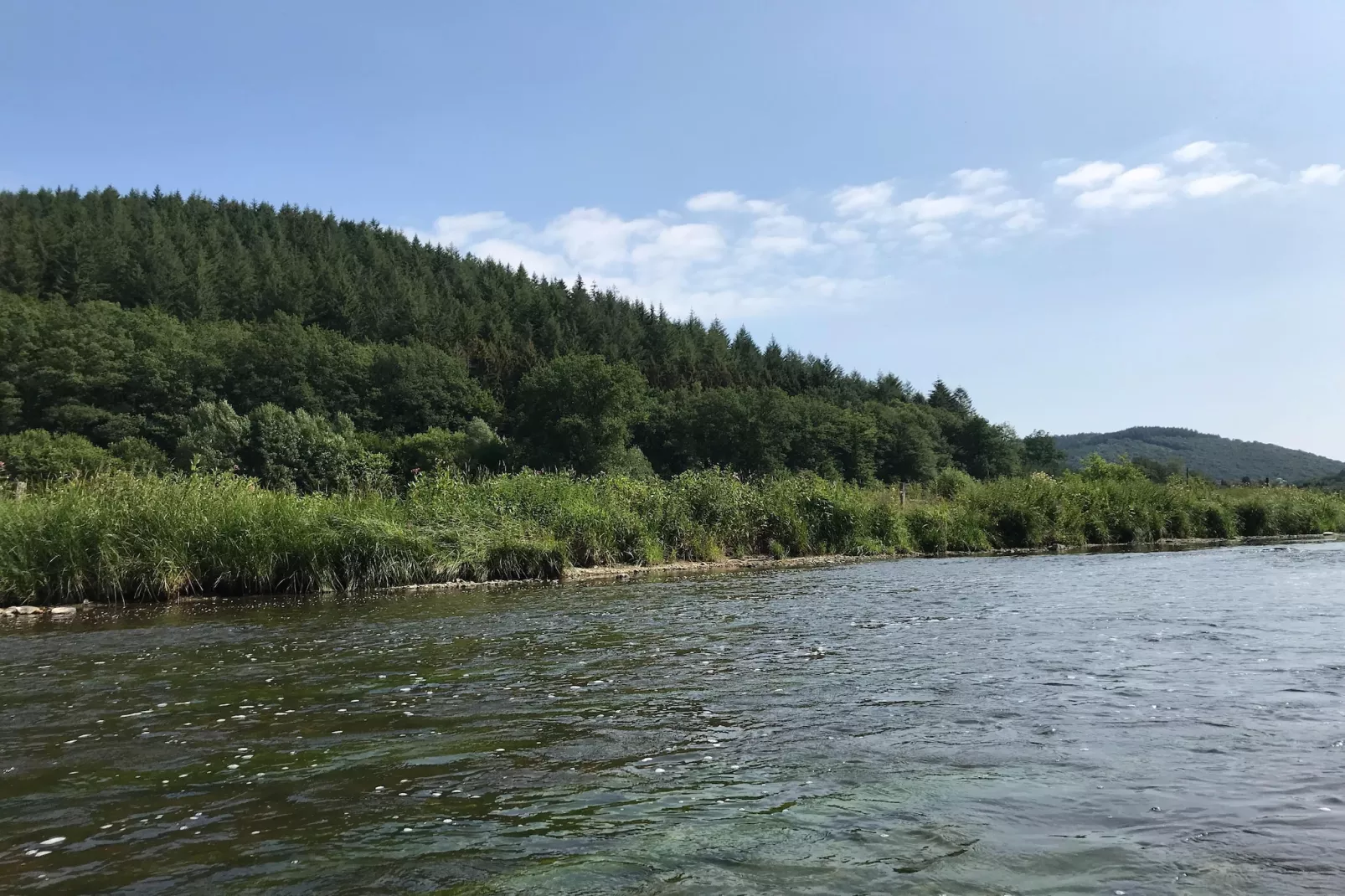 Au Coeur d'Alle - Double Room with Large Double Bed - Gebiete Sommer 5 km