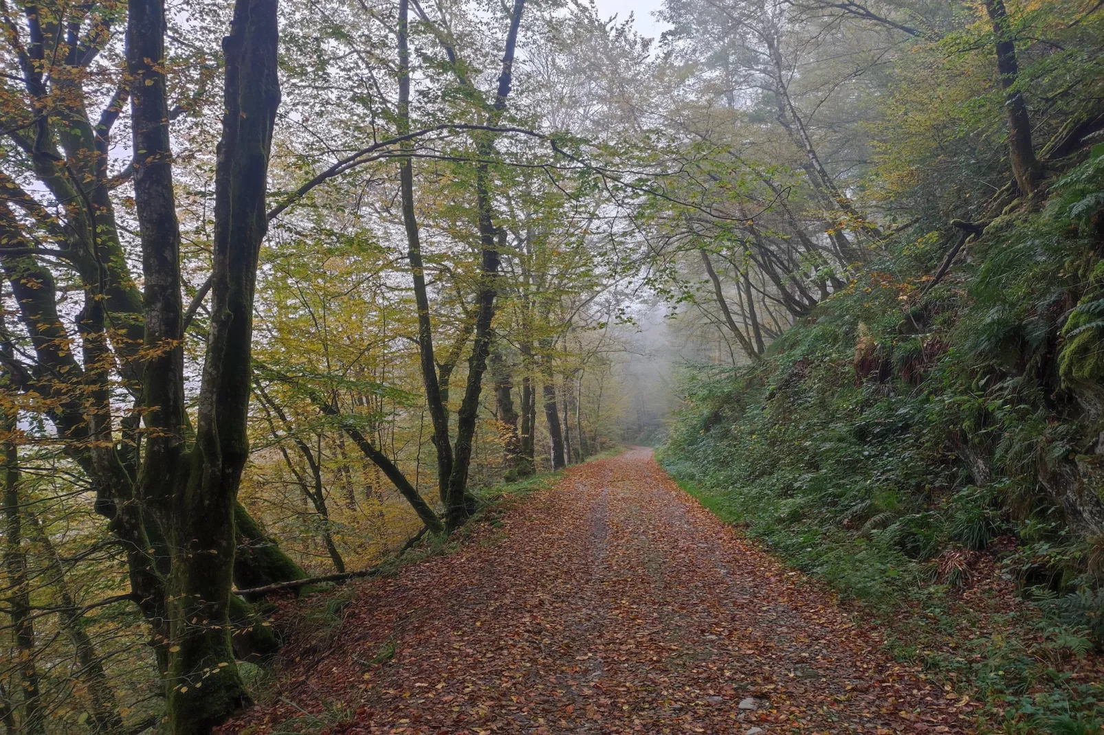 Au Coeur d'Alle Single Room - Areas within 5km in summer